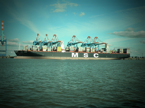 MSC MAYA