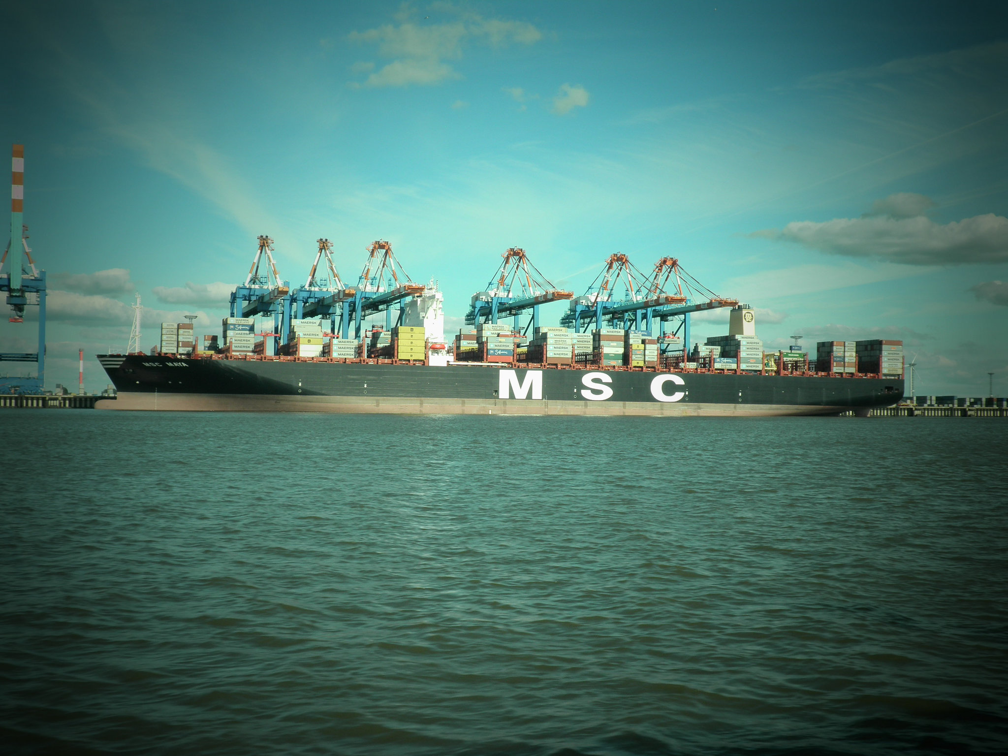 MSC MAYA