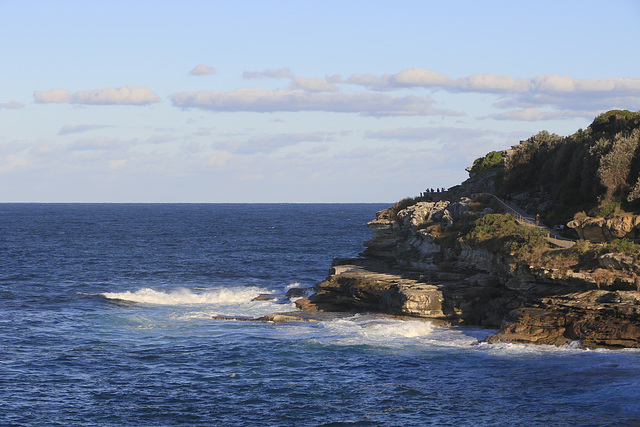 Bondi Beach Cliff Walk