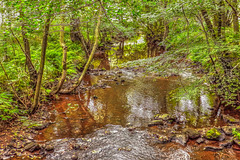 Harwood Dale Beck