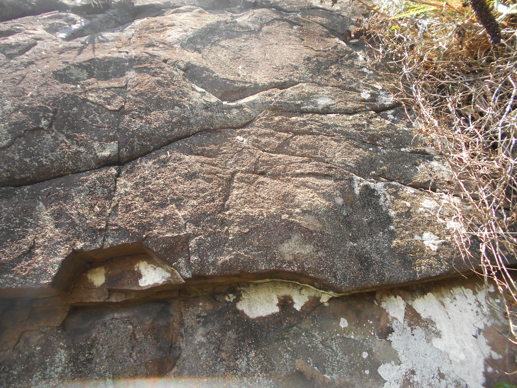 DSCN1983 - Pedra Preta do Norte