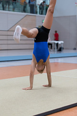 EFTupo-1258
