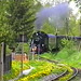 VÖ0000367
