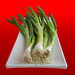 Scallions on Red 071216