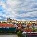 Blick auf  Hradchany Prag