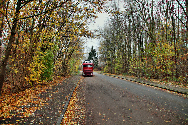 Nörenbergstraße (Bochum-Werne) / 20.11.2018