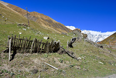 A fence in need of love....