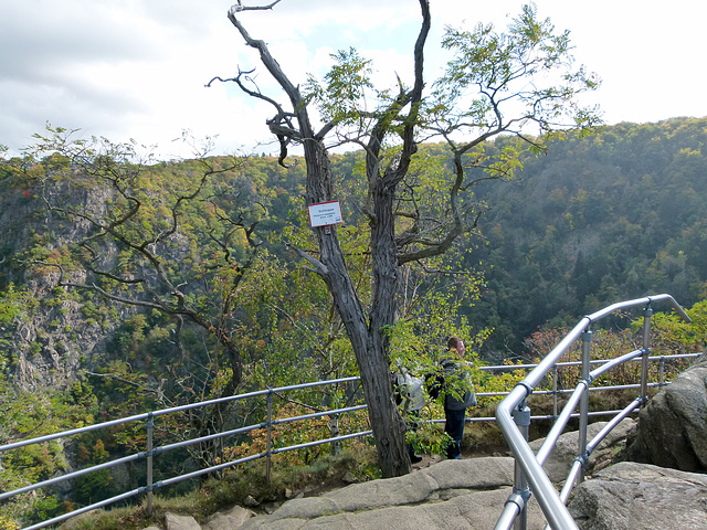 Schöne Aussicht von der Rosstrappe