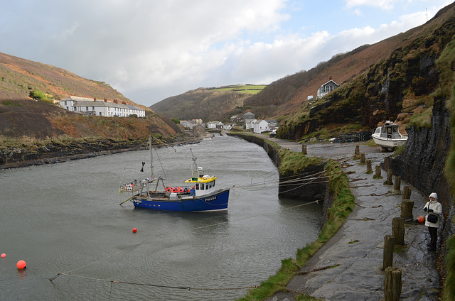 Stiehl at the Boscastle Harbor