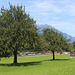 BÖ0011152
