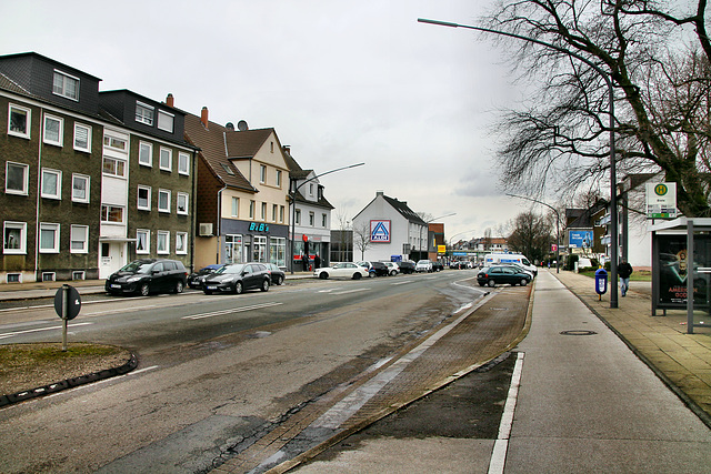 Polsumer Straße (Gelsenkirchen-Hassel) / 9.03.2019