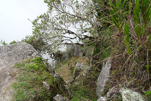 Huayna Picchu Summit