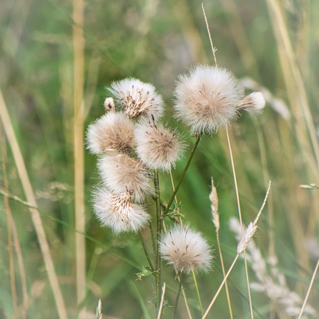 Warten auf den Wind