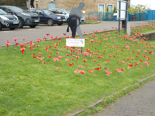 In mem - Whitehaven poppies [1 of 3]