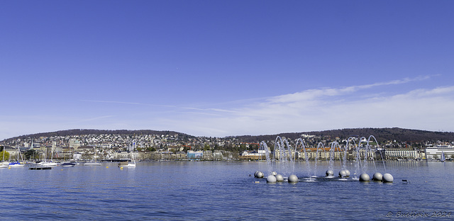 beim Aquaretum Zürich-Enge  (© Buelipix)