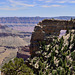 Grand Canyon, North Rim