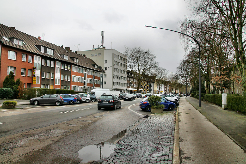 Polsumer Straße (Gelsenkirchen-Hassel) / 9.03.2019