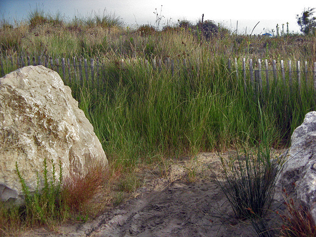 HFF - from Aigues Mortes