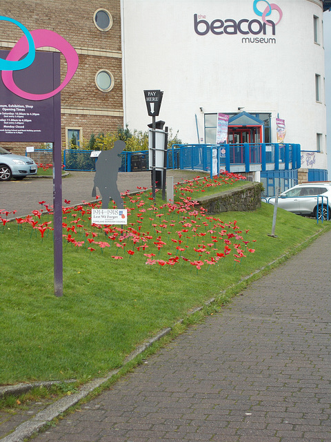 In mem - Whitehaven poppies [3 of 3]