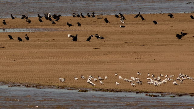 Duddon Estuary cropped photo