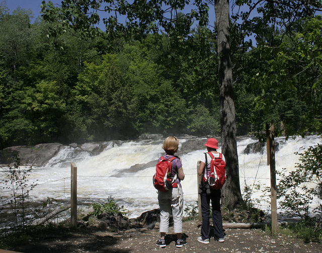 Wilson falls