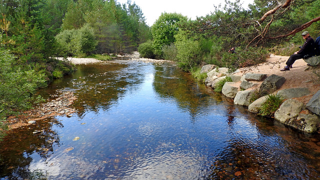 Reflections in a stream