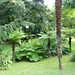 Jardín Botánico-Miles de plantas importadas de todo el Mundo