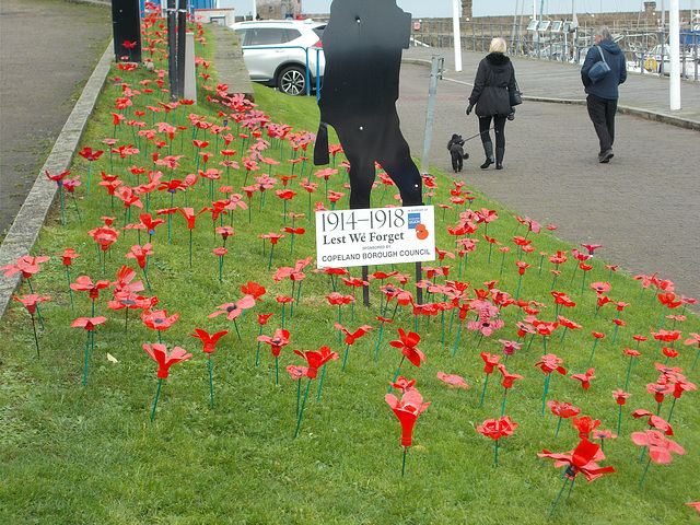 In mem - Whitehaven poppies [2 of 3]