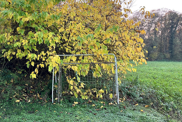 Dorffussball-WM ohne Kater