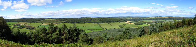 Troutsdale from Wykeham Forest