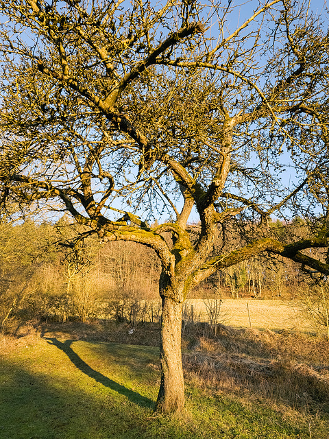 Kerpen (Eifel)