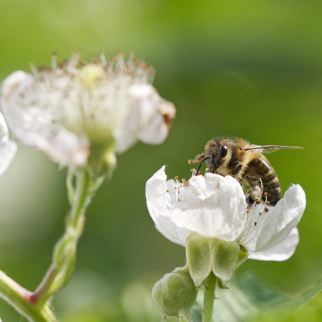 schwer beladen schwer beladen