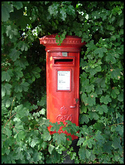 leafy post box