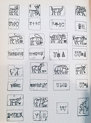 Fig. 8.I The Indus script on coppr tablets from Mohenjodaro