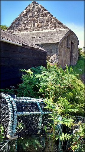 Penberth Cove