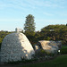 Royal Botanic Gardens