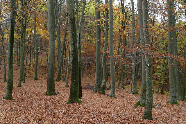 Einblick