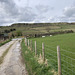 Cown Edge from Higher Plainsteads Farm