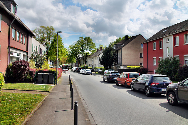 Elbestraße (Bochum-Harpen) / 27.04.2024