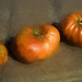 late summer harvest