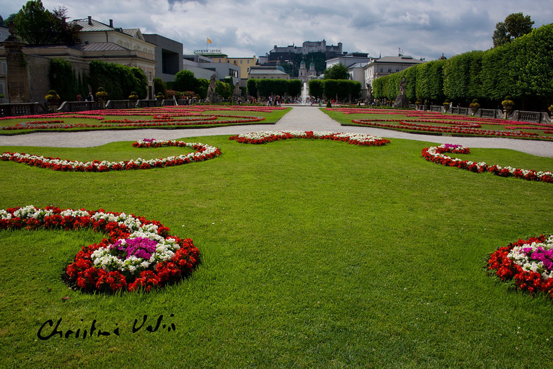 beautiful garden