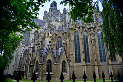 Kathedraal 1220-1530