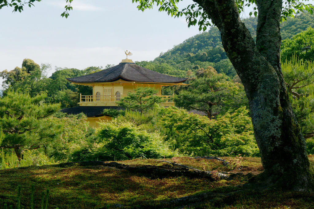 Temple Kinkaku-ji (金閣寺) (le Pavillon d'or) (11)