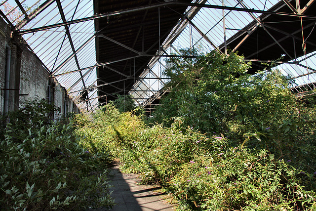 Güterbahnhof Duisburg, alte Abfertigungshalle / 19.08.2018