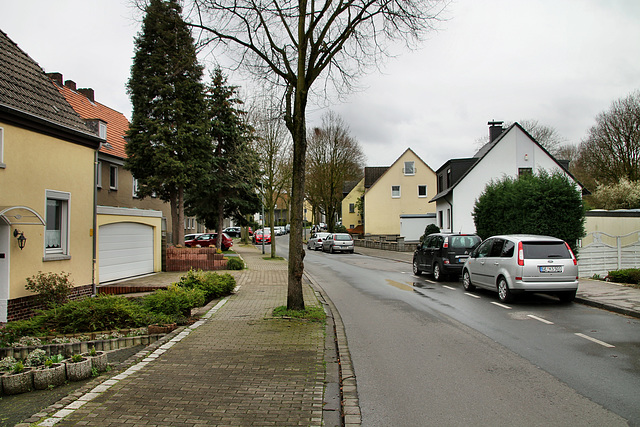 Hagenbredde (Gelsenkirchen-Hassel) / 9.03.2019