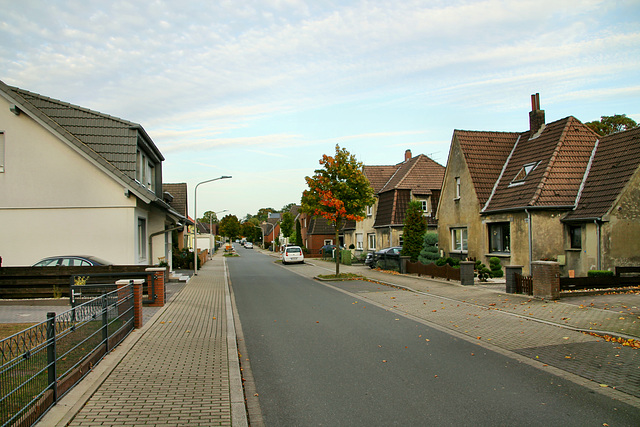 Detmolder Straße (Hamm-Bockum-Hövel) / 13.10.2019