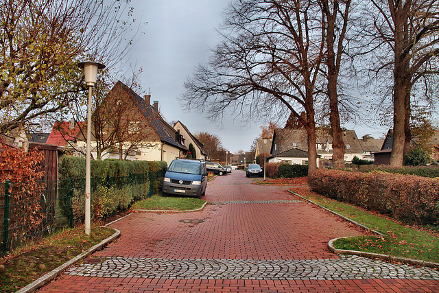 Wilhelminenstraße (Unna-Königsborn) / 26.11.2022