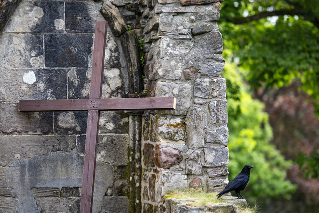 The Cross and the Crow