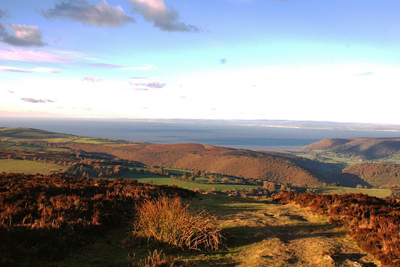 Overlooking the moor