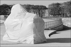 Emballage aux Tuileries 1